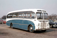 Bowles Coaches, Ford