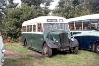 Margo's (Bexleyheath Transport)