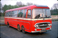 Elmtree Transport, Wealdstone